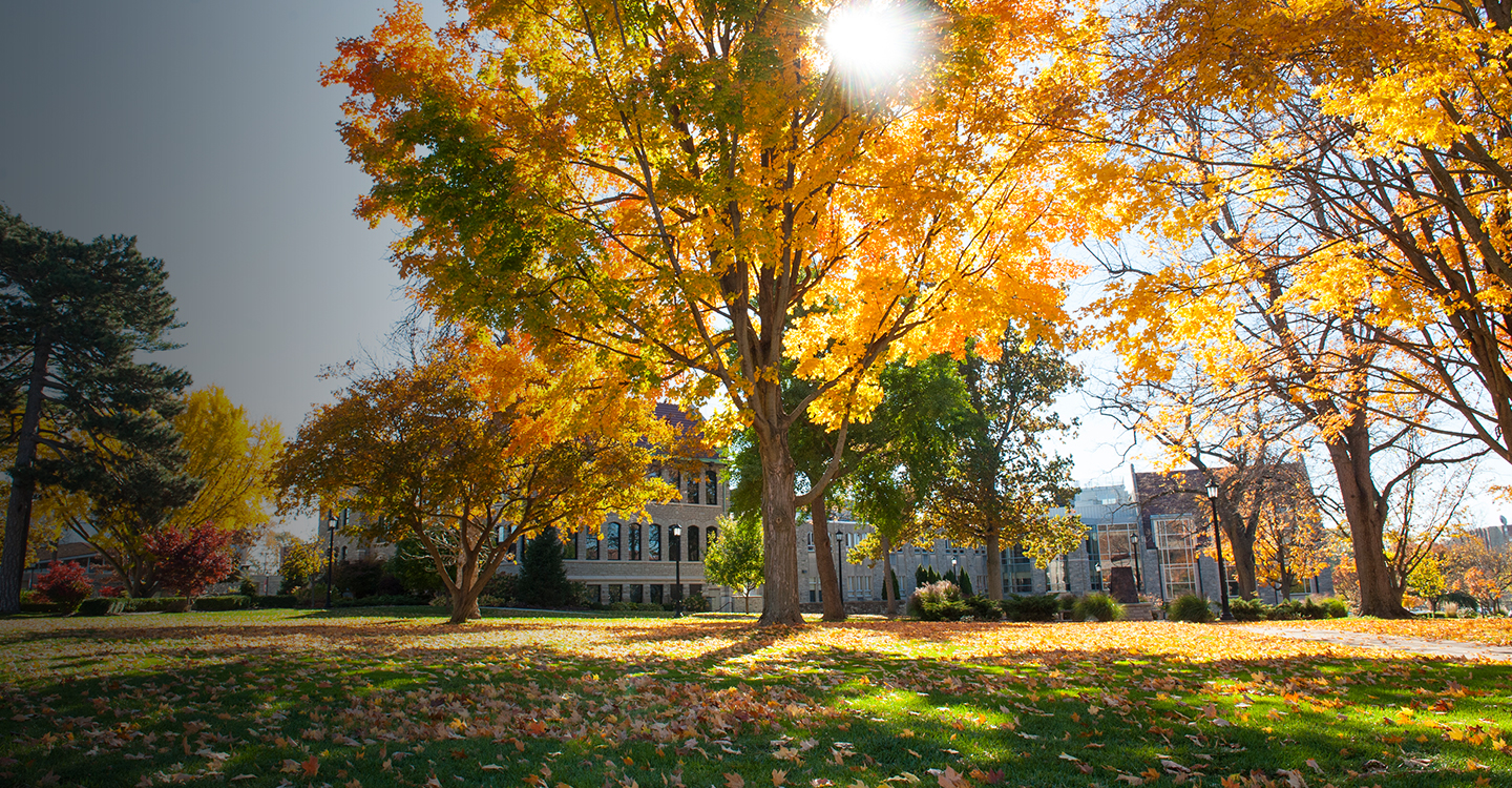 Heidelberg University