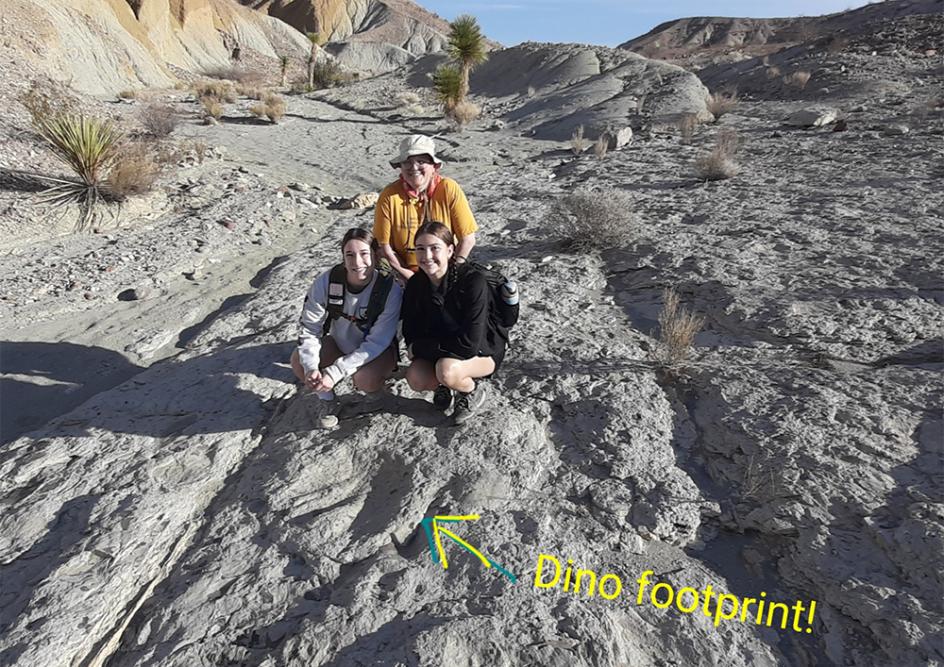 Dr. Amy Berger and Students posing in front of Dinosaur footprint