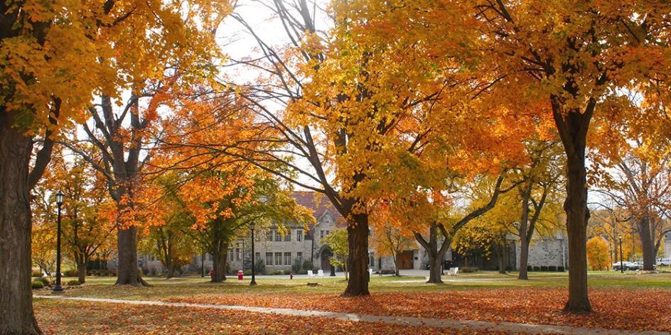 trees on campus