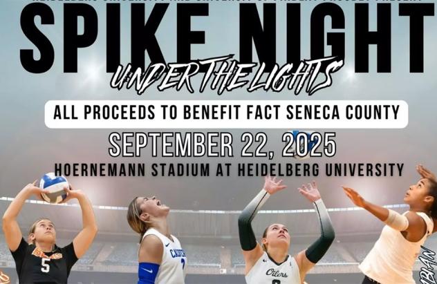 Heidelberg Volleyball Spike Night